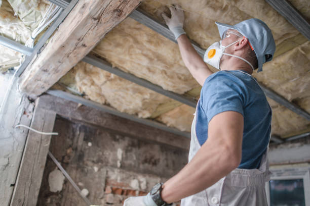 Best Insulation Maintenance and Repair in Westminster, CO