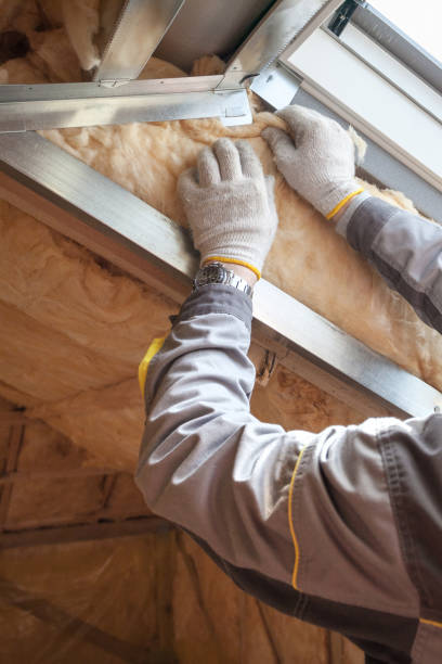 Best Residential Insulation in Westminster, CO